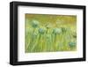 Golden breeze-Claire Westwood-Framed Art Print