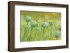 Golden breeze-Claire Westwood-Framed Art Print