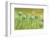 Golden breeze-Claire Westwood-Framed Art Print