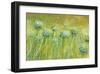 Golden breeze-Claire Westwood-Framed Art Print