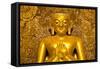 Golden Buddha Image Standing 33Ft Tall Inside Ananda Paya, Bagan, Myanmar (Burma), Southeast Asia-Lee Frost-Framed Stretched Canvas