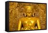 Golden Buddha Image Standing 33Ft Tall Inside Ananda Paya, Bagan, Myanmar (Burma), Southeast Asia-Lee Frost-Framed Stretched Canvas