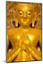 Golden Buddha Image Standing 33Ft Tall Inside Ananda Paya, Bagan, Myanmar (Burma), Southeast Asia-Lee Frost-Mounted Photographic Print