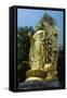 Golden Buddha in the Fortress of Suwon, UNESCO World Heritage Site, South Korea, Asia-Michael-Framed Stretched Canvas