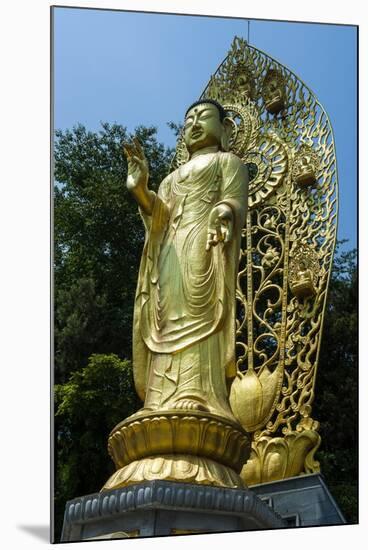 Golden Buddha in the Fortress of Suwon, UNESCO World Heritage Site, South Korea, Asia-Michael-Mounted Photographic Print