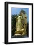 Golden Buddha in the Fortress of Suwon, UNESCO World Heritage Site, South Korea, Asia-Michael-Framed Photographic Print