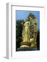 Golden Buddha in the Fortress of Suwon, UNESCO World Heritage Site, South Korea, Asia-Michael-Framed Photographic Print