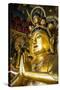 Golden Buddha in the Guandu Temple, Guandu, Taipei, Taiwan, Asia-Michael Runkel-Stretched Canvas