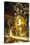 Golden Buddha in the Guandu Temple, Guandu, Taipei, Taiwan, Asia-Michael Runkel-Stretched Canvas