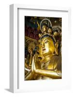 Golden Buddha in the Guandu Temple, Guandu, Taipei, Taiwan, Asia-Michael Runkel-Framed Photographic Print