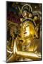 Golden Buddha in the Guandu Temple, Guandu, Taipei, Taiwan, Asia-Michael Runkel-Mounted Photographic Print