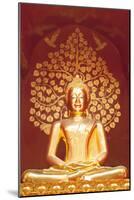 Golden Buddha Statue Inside the Chedi of Wat Phan On, Chiang Mai, Thailand-null-Mounted Photographic Print