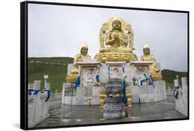 Golden Buddhist statues above Amarbayasgalant Monastery, Mount Buren-Khaan, Baruunburen district, S-Francesco Vaninetti-Framed Stretched Canvas