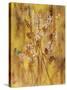 Golden Butterfly Field I-li bo-Stretched Canvas