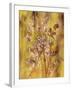 Golden Butterfly Field II-li bo-Framed Giclee Print