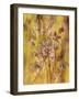 Golden Butterfly Field II-li bo-Framed Giclee Print