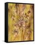 Golden Butterfly Field II-li bo-Framed Stretched Canvas