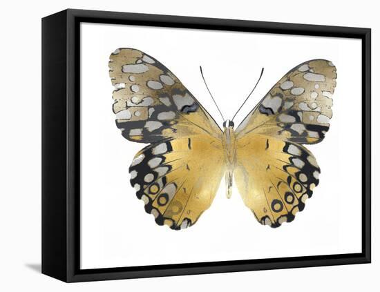 Golden Butterfly I-Julia Bosco-Framed Stretched Canvas
