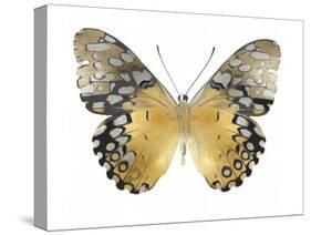 Golden Butterfly I-Julia Bosco-Stretched Canvas
