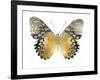 Golden Butterfly I-Julia Bosco-Framed Art Print