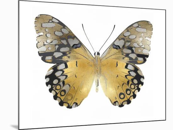 Golden Butterfly I-Julia Bosco-Mounted Art Print