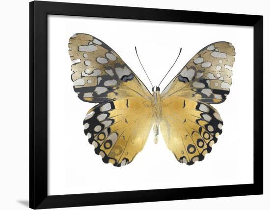 Golden Butterfly I-Julia Bosco-Framed Art Print