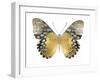 Golden Butterfly I-Julia Bosco-Framed Art Print