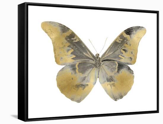 Golden Butterfly II-Julia Bosco-Framed Stretched Canvas