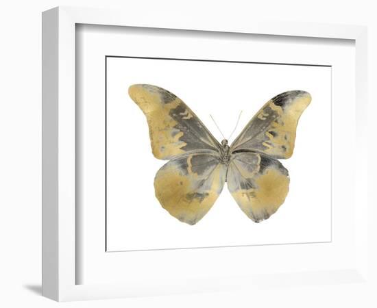 Golden Butterfly II-Julia Bosco-Framed Art Print