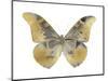 Golden Butterfly II-Julia Bosco-Mounted Art Print