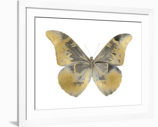 Golden Butterfly II-Julia Bosco-Framed Art Print