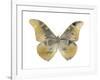 Golden Butterfly II-Julia Bosco-Framed Art Print