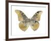 Golden Butterfly II-Julia Bosco-Framed Art Print