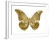 Golden Butterfly III-Julia Bosco-Framed Art Print