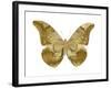 Golden Butterfly III-Julia Bosco-Framed Art Print