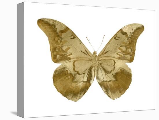Golden Butterfly III-Julia Bosco-Stretched Canvas