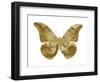 Golden Butterfly III-Julia Bosco-Framed Art Print