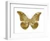 Golden Butterfly III-Julia Bosco-Framed Art Print