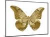 Golden Butterfly III-Julia Bosco-Mounted Art Print