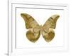 Golden Butterfly III-Julia Bosco-Framed Art Print
