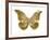 Golden Butterfly III-Julia Bosco-Framed Art Print