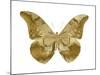 Golden Butterfly III-Julia Bosco-Mounted Art Print