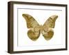 Golden Butterfly III-Julia Bosco-Framed Art Print