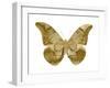 Golden Butterfly III-Julia Bosco-Framed Art Print