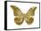 Golden Butterfly III-Julia Bosco-Framed Stretched Canvas