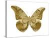 Golden Butterfly III-Julia Bosco-Stretched Canvas