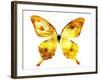 Golden Butterfly , Isolated on White-suns07butterfly-Framed Art Print