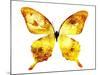 Golden Butterfly , Isolated on White-suns07butterfly-Mounted Art Print