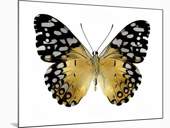 Golden Butterfly IV-Julia Bosco-Mounted Art Print