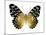 Golden Butterfly IV-Julia Bosco-Mounted Art Print